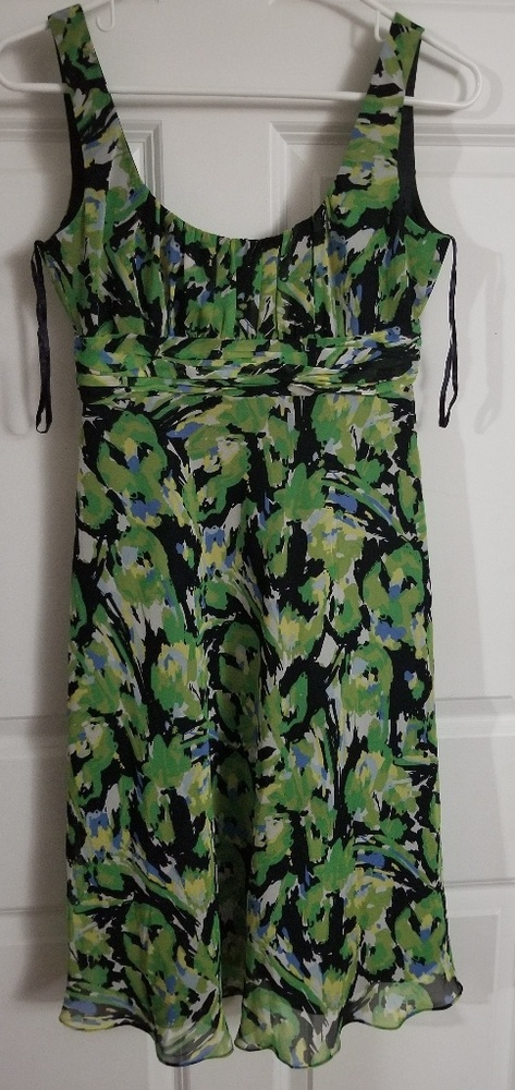 Evan Picone dress